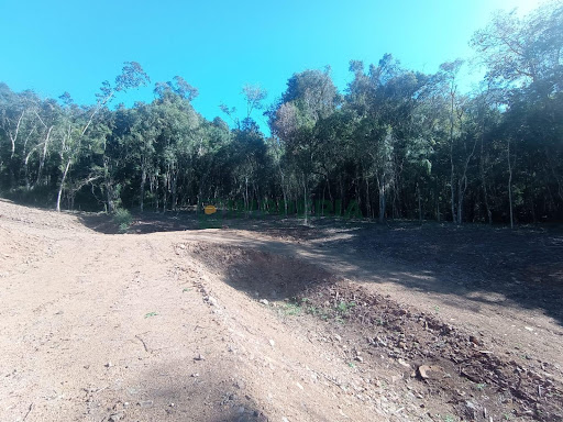 Sítio / Chácara SEM CASA  em  Carlos Barbosa / RS - Distrito de Arco Verde