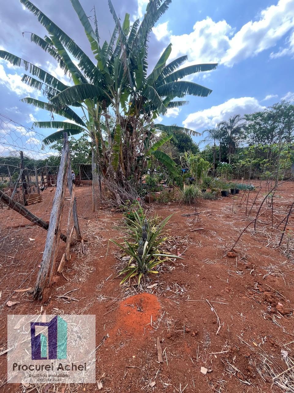 Rural à venda com 5000m² de terreno no Rajadunha I, Brasília (DF) — foto 9 de 21