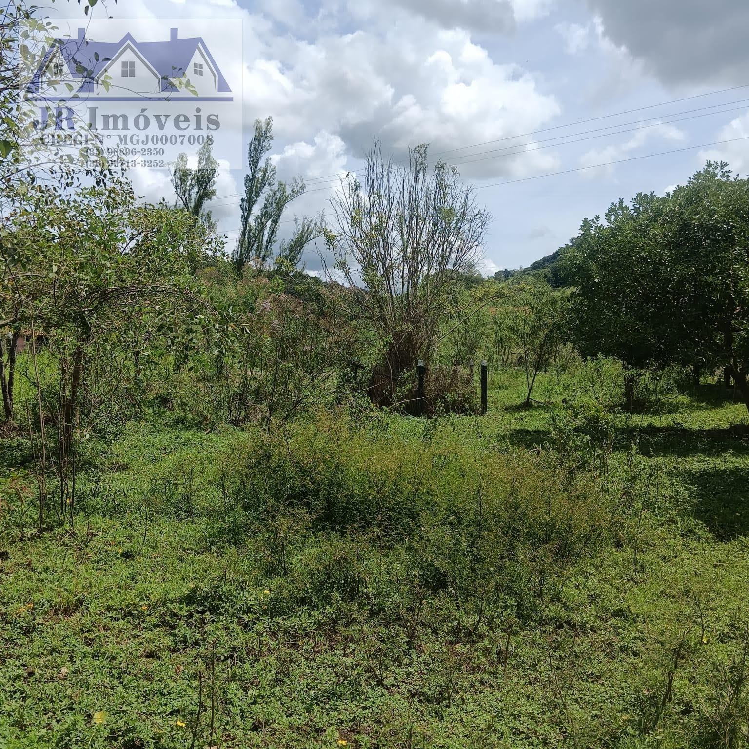 Terreno à venda com 3000m² de terreno no Carneiros, Piranguinho (MG) — foto 18 de 21