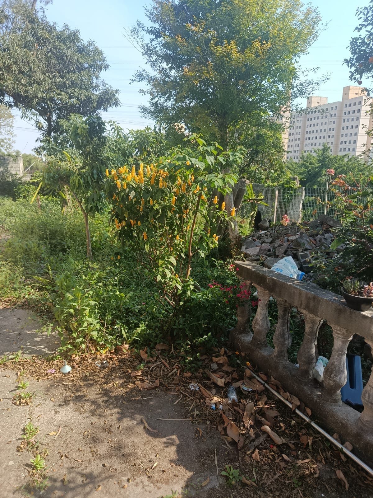 Apartamento à venda no Jardim Mangalot, São Paulo (SP) — foto 7 de 17