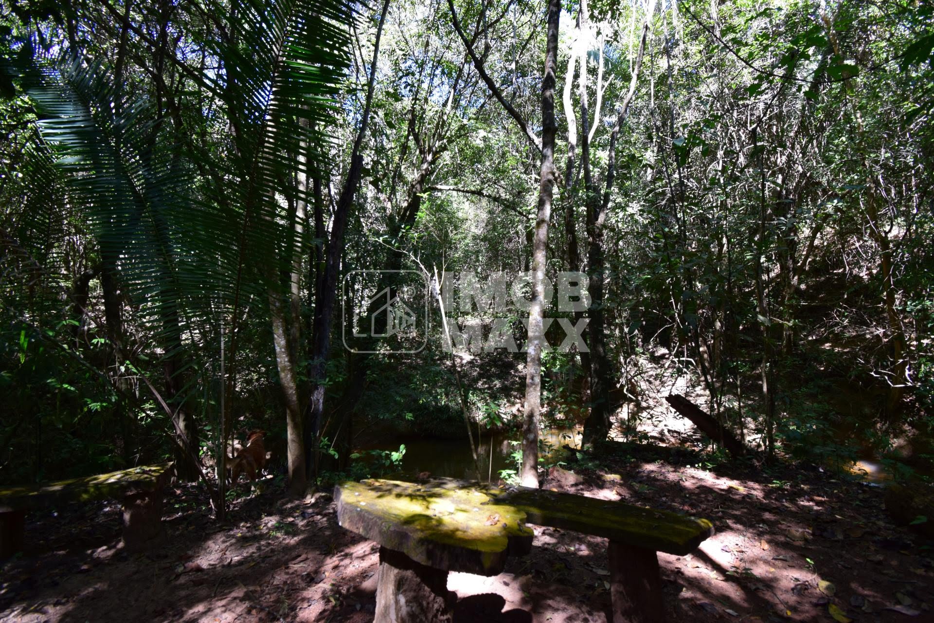 Chácara, 5 quartos, 5 hectares - Foto 42