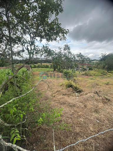 Área em Forquilhas  -  São José