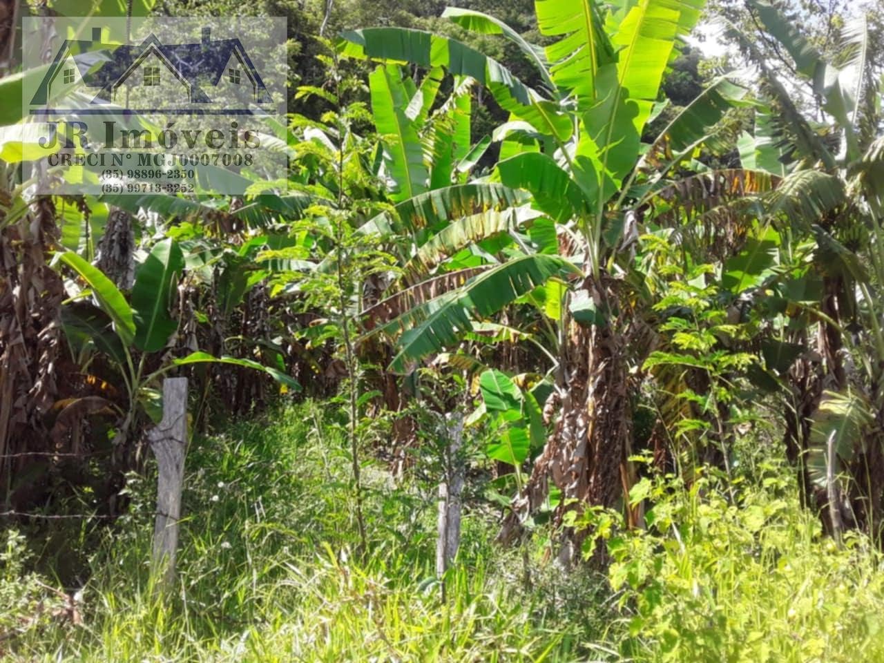 Rural à venda com 30000m² de terreno no Resende, Pedralva (MG) — foto 5 de 21