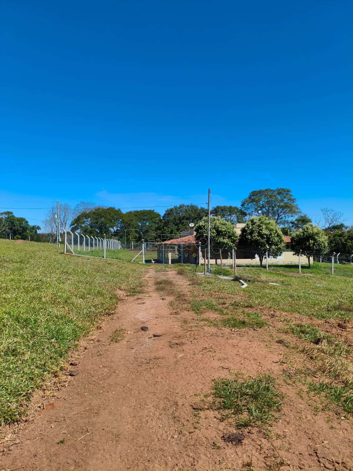 Chácara - Foto 7