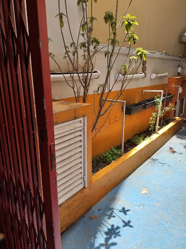 Casa Comercial em Cambuci  -  São Paulo