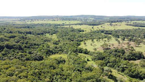 Chácara em Rochedinho  -  Jaraguari