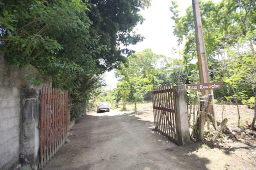 Sitio em igarassu estrada da pitanga para venda