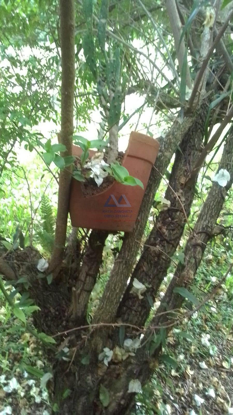 Rural à venda com 1800m² de terreno no Sorocabuçu, Ibiúna (SP) — foto 27 de 30