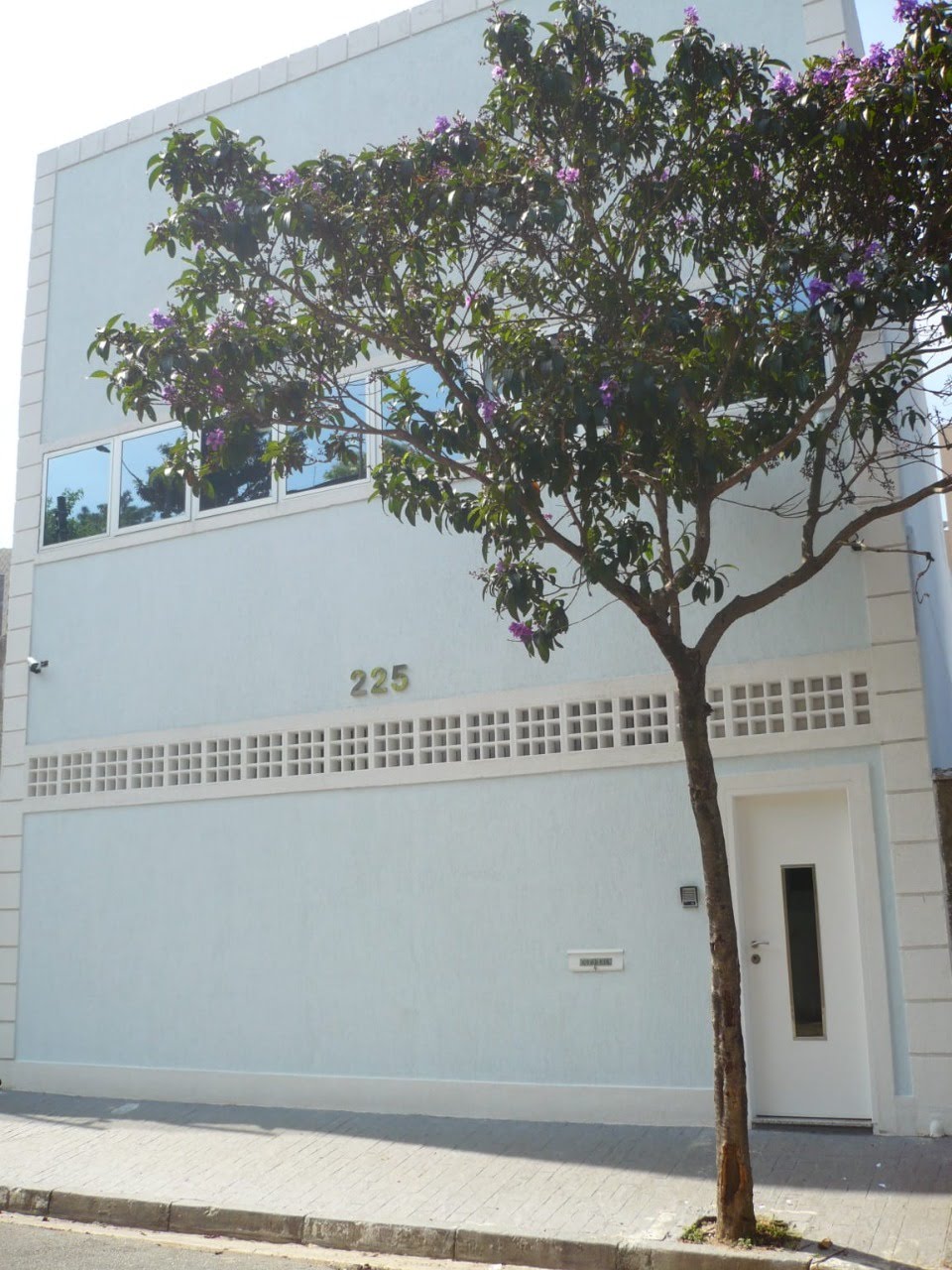 Foto 01
