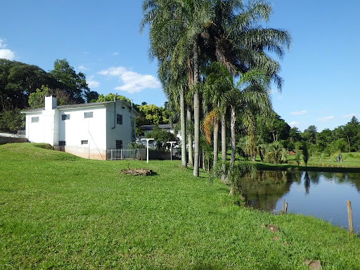 Chácara em Interior  -  Cruz Alta