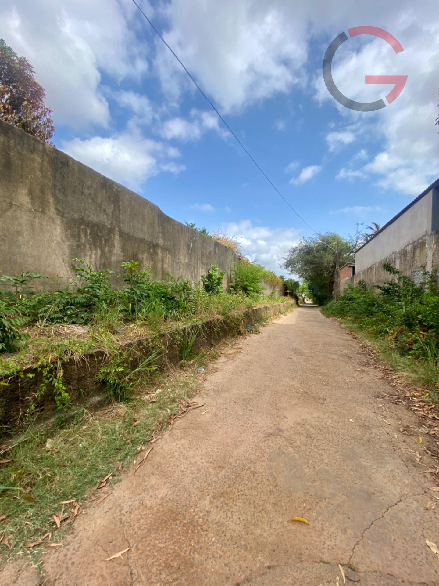 Terreno, 10000 m² - Foto 6