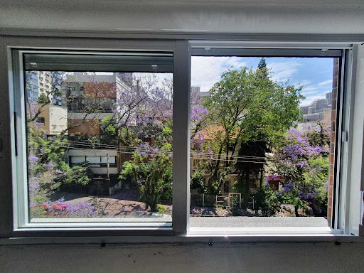 Vista