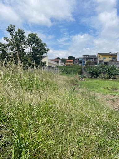 Terreno em Vila Nova Cintra  -  Mogi das Cruzes