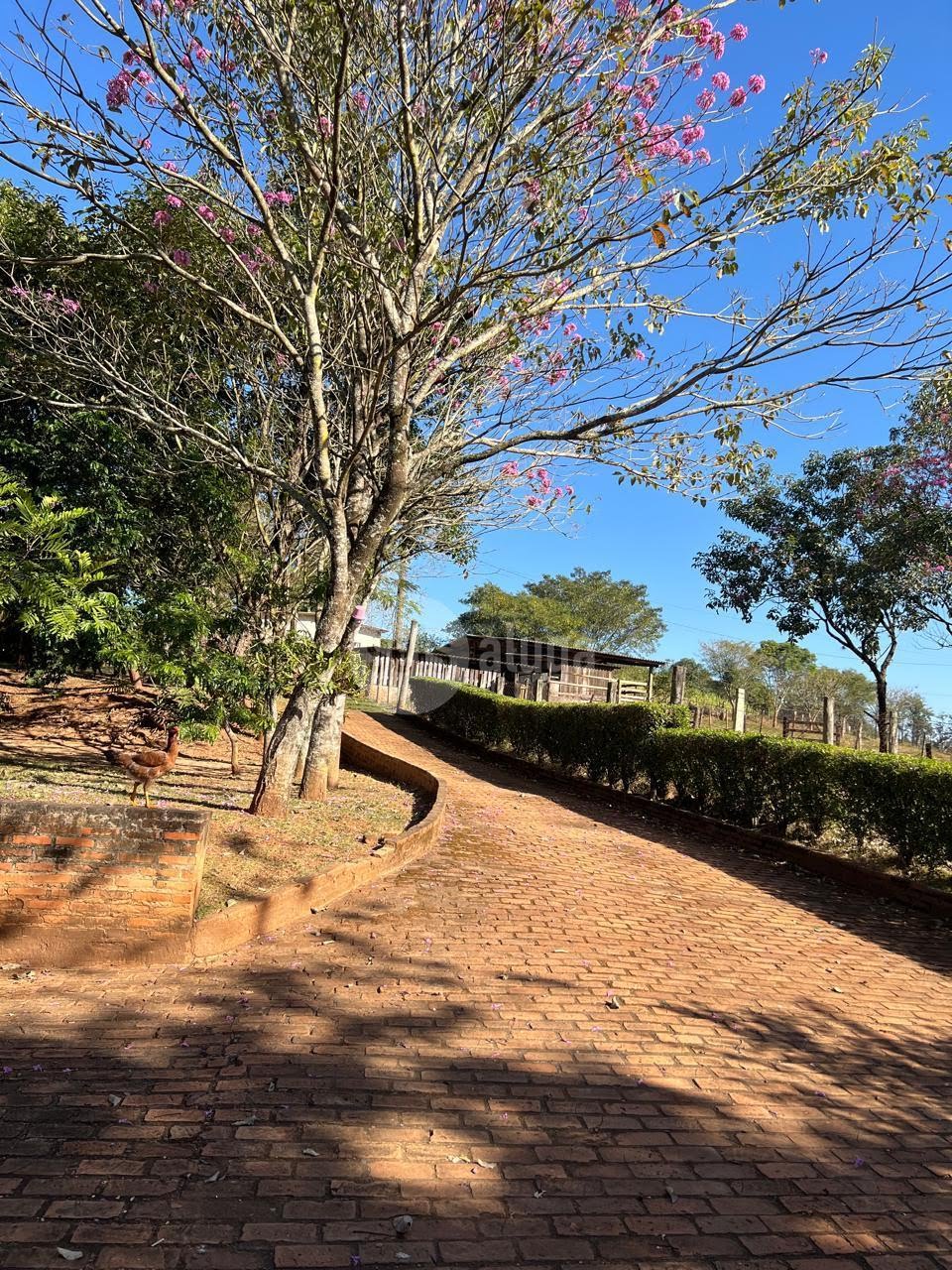 Estrada interna