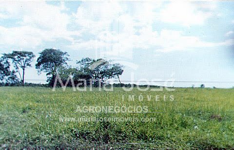 Rural à venda com 58800000m² de terreno no Zona Rural de Divinópolis, Divinópolis do Tocantins (TO) — foto 11 de 30
