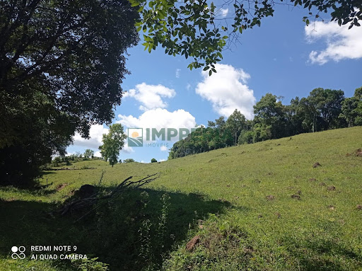 Sítio / Chácara SEM CASA em Santa Tecla  -  Coronel Pilar