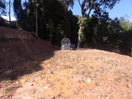 Foto 06