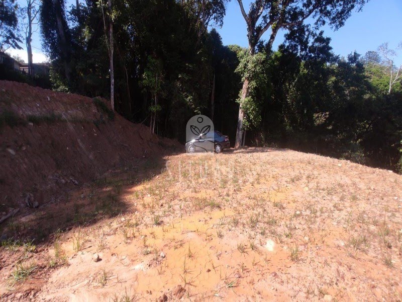 Foto 06