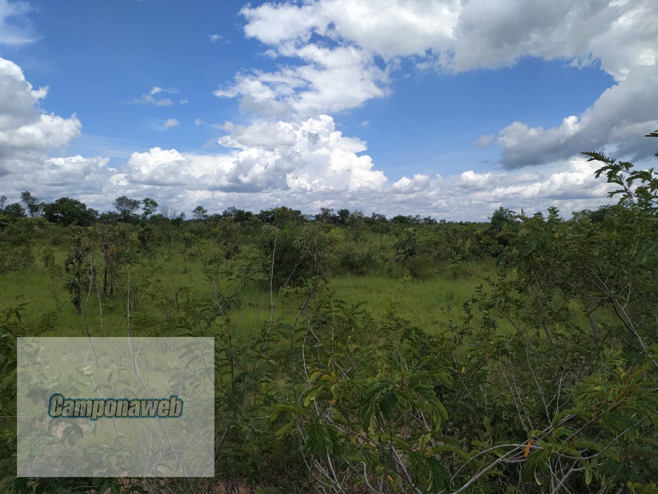 Área que pode ser agricultável