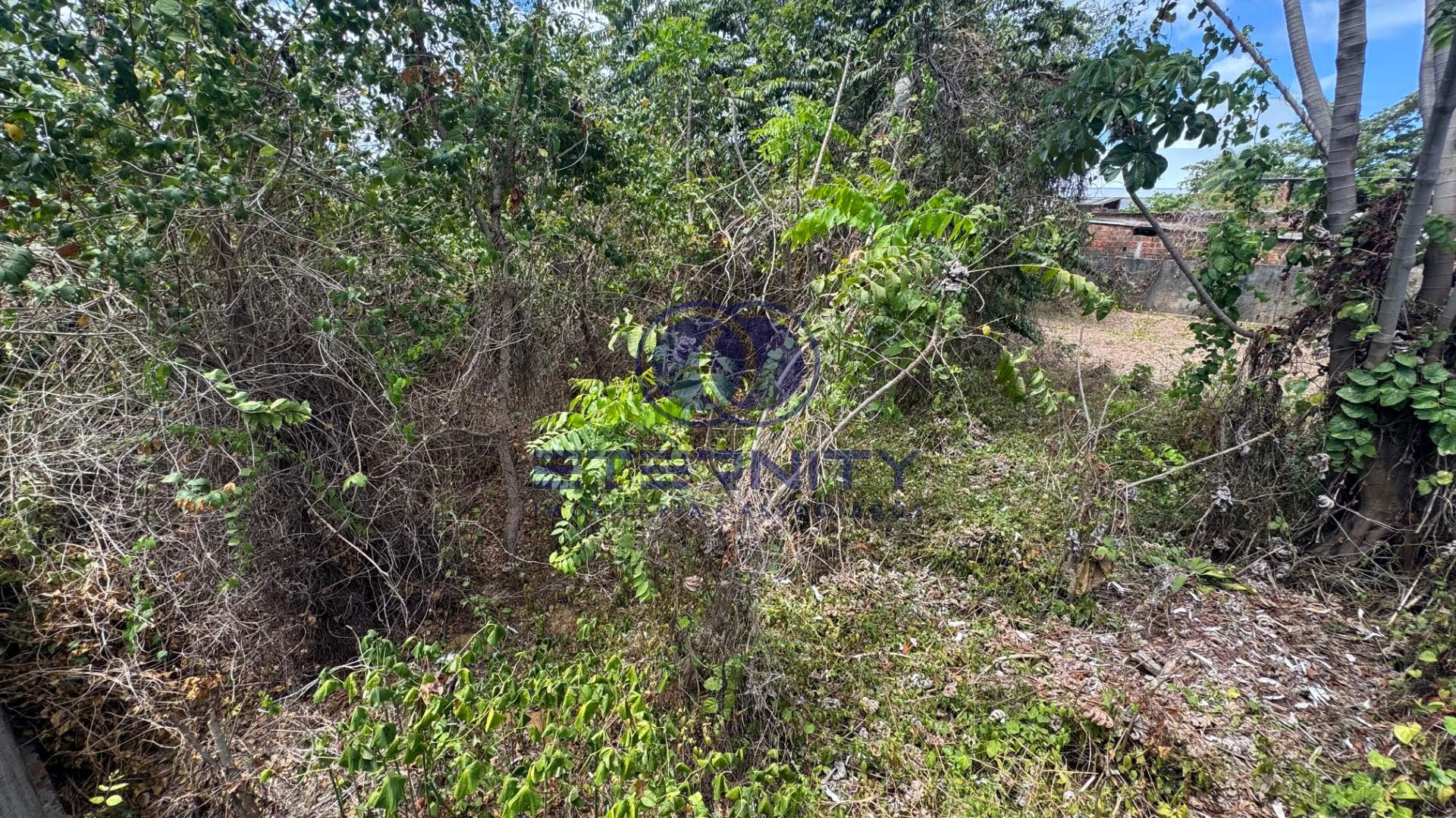 Terreno à venda com 460m² de terreno no Sitio Fragoso, Paulista (PE) — foto 14 de 15