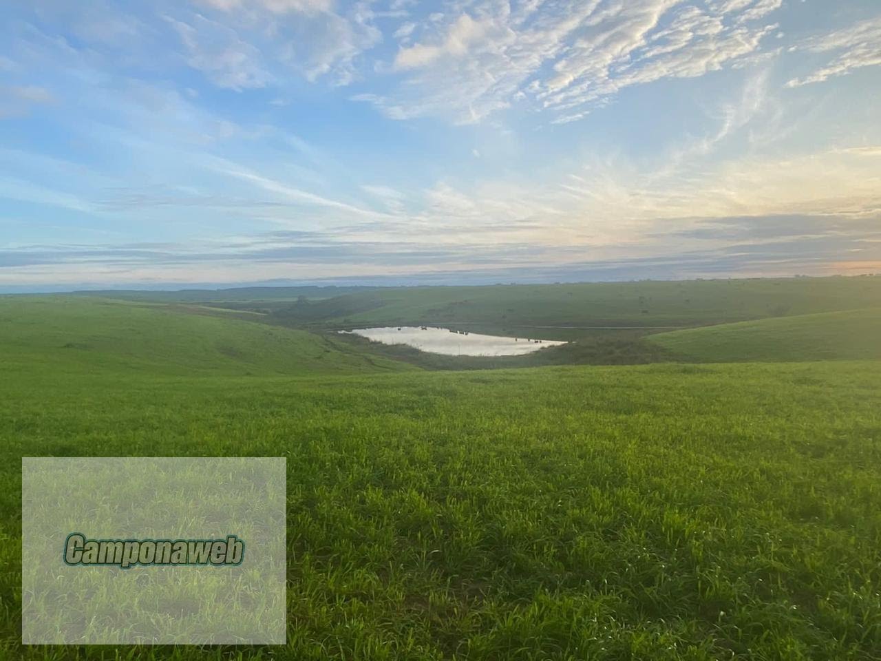 Fazenda para arroz irrigado