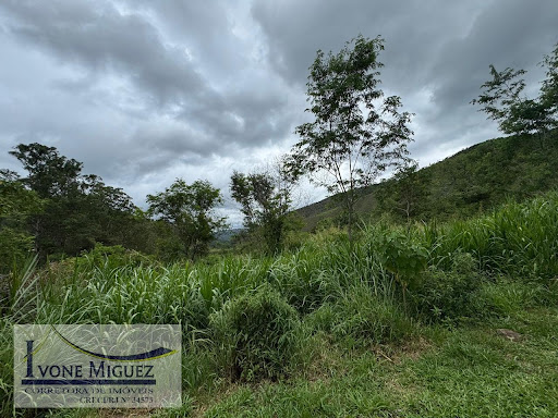Terreno em Vale Das Videiras  -  Paty do Alferes