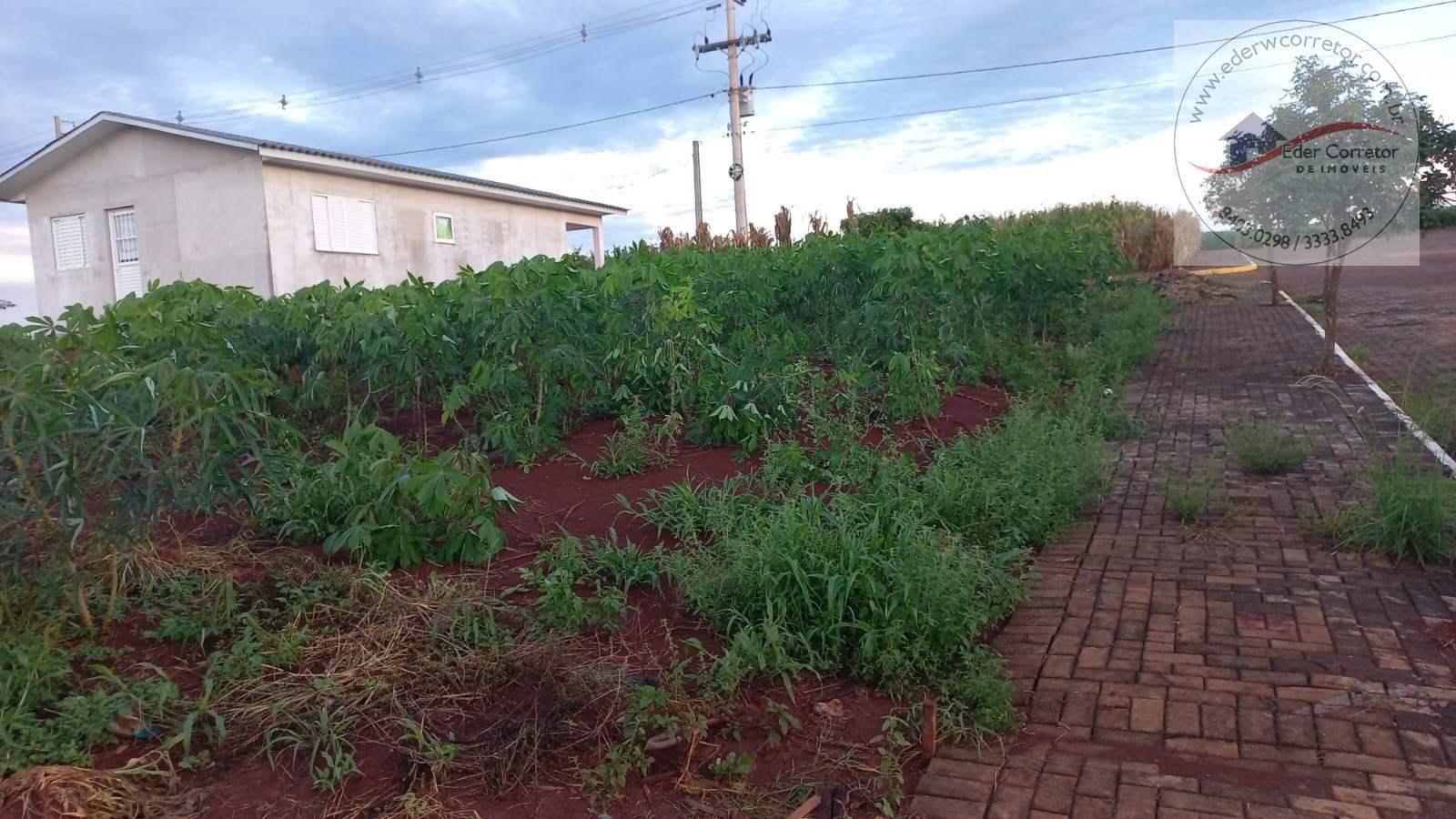 Terreno à venda com 300m² de terreno no Interior, Coronel Barros (RS) — foto 4 de 5
