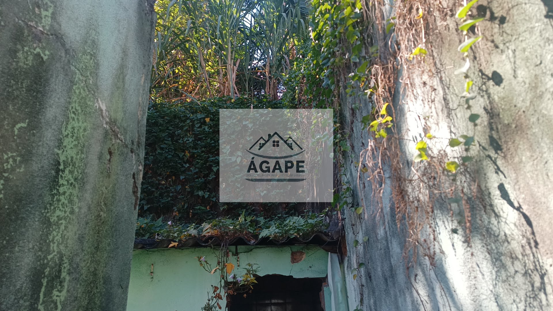 Casa à venda com 11 quartos, 11 banheiros e 27m² no Jardim Novo Taboao, São Paulo (SP) — foto 5 de 30