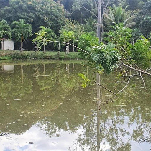 Sítio em Reserva Biológica da União  -  Rio das Ostras