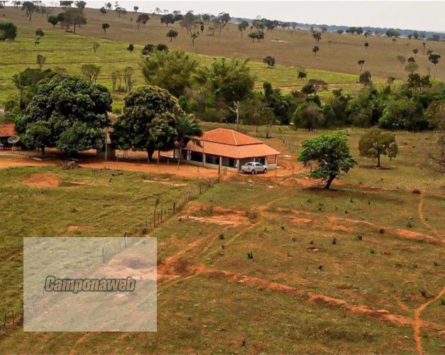 Fazenda em Centro - Inocência | Imobiliária Camponaweb em Santa Cruz do Sul