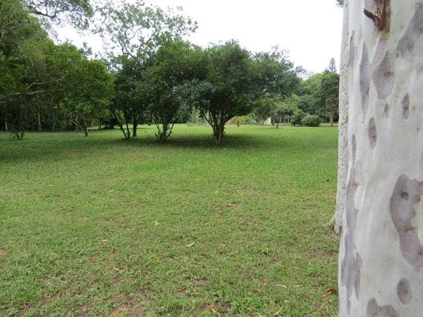 Rural à venda com 45000m² de terreno no Vargem Pequena, Florianópolis (SC) — foto 13 de 28