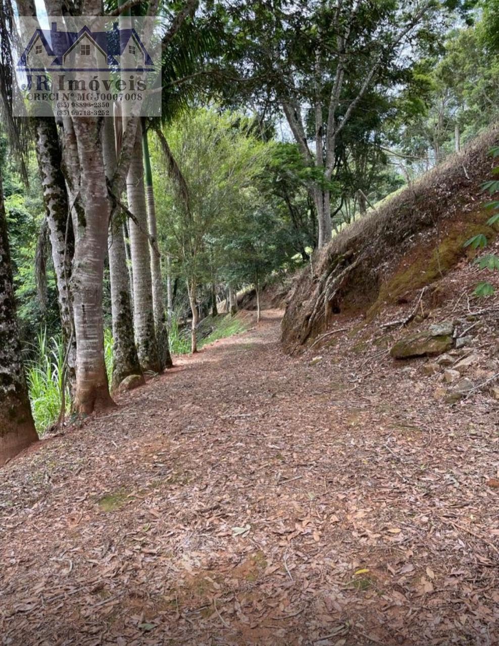 Rural à venda com 145200m² de terreno no Monte Belo, Santa Rita do Sapucaí (MG) — foto 7 de 15