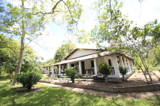 Sitio em igarassu com poço artesiano para venda