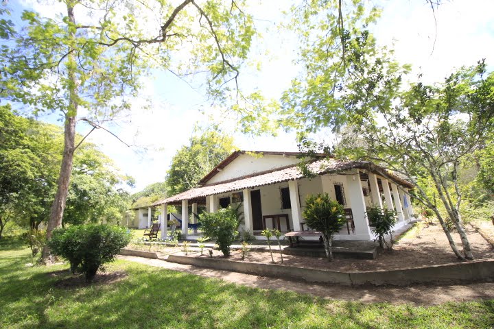Rural à venda com 80000m² de terreno no Monjope, Igarassu (PE) — foto 7 de 30
