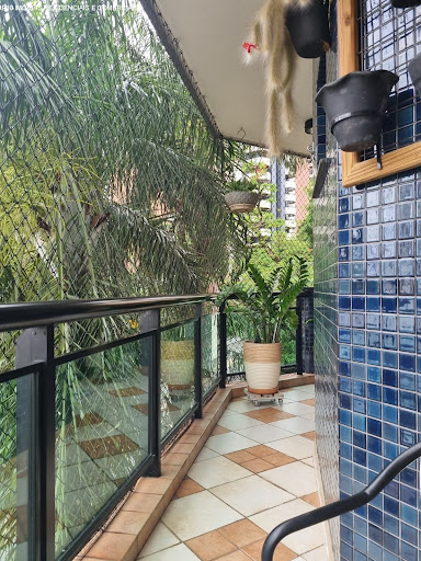 Foto 02