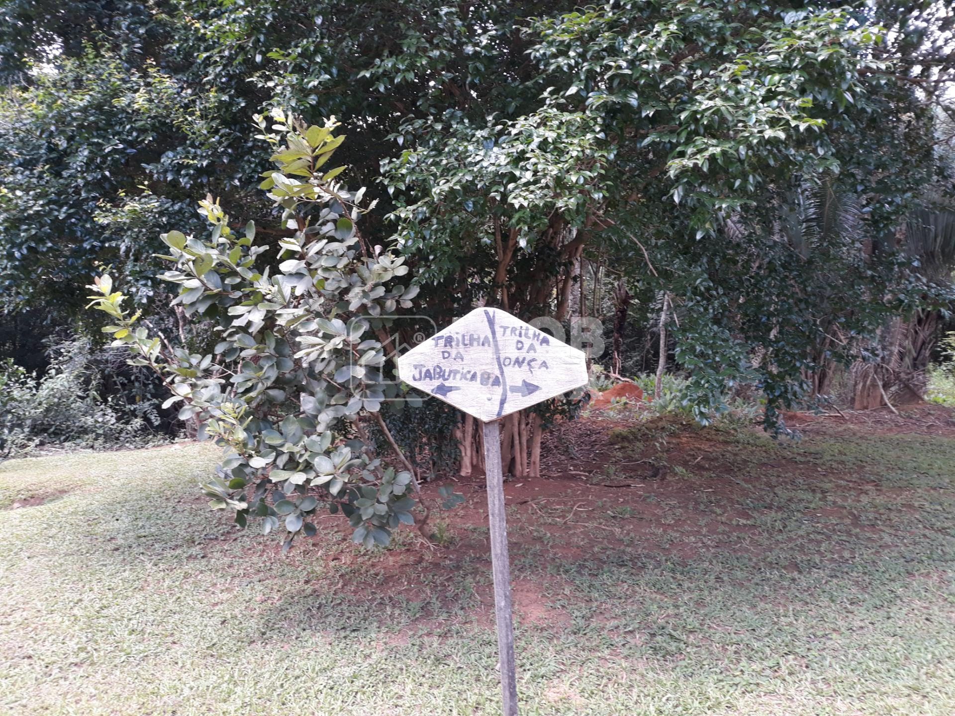 Chácara, 5 quartos, 5 hectares - Foto 8