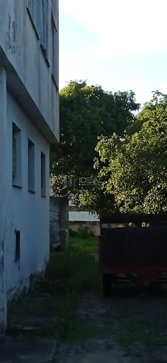 Sobrado com 5 quartos, 5 vagas em terreno gigante com 1460m2 no turf