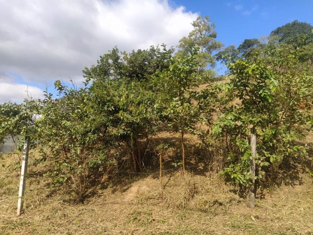 Terreno à venda com 1025m² de terreno no Parque Santa Teresa, Santa Isabel (SP) — foto 4 de 14
