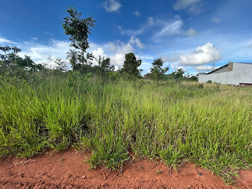 Lote / Terreno em Panorama  -  Campo Grande