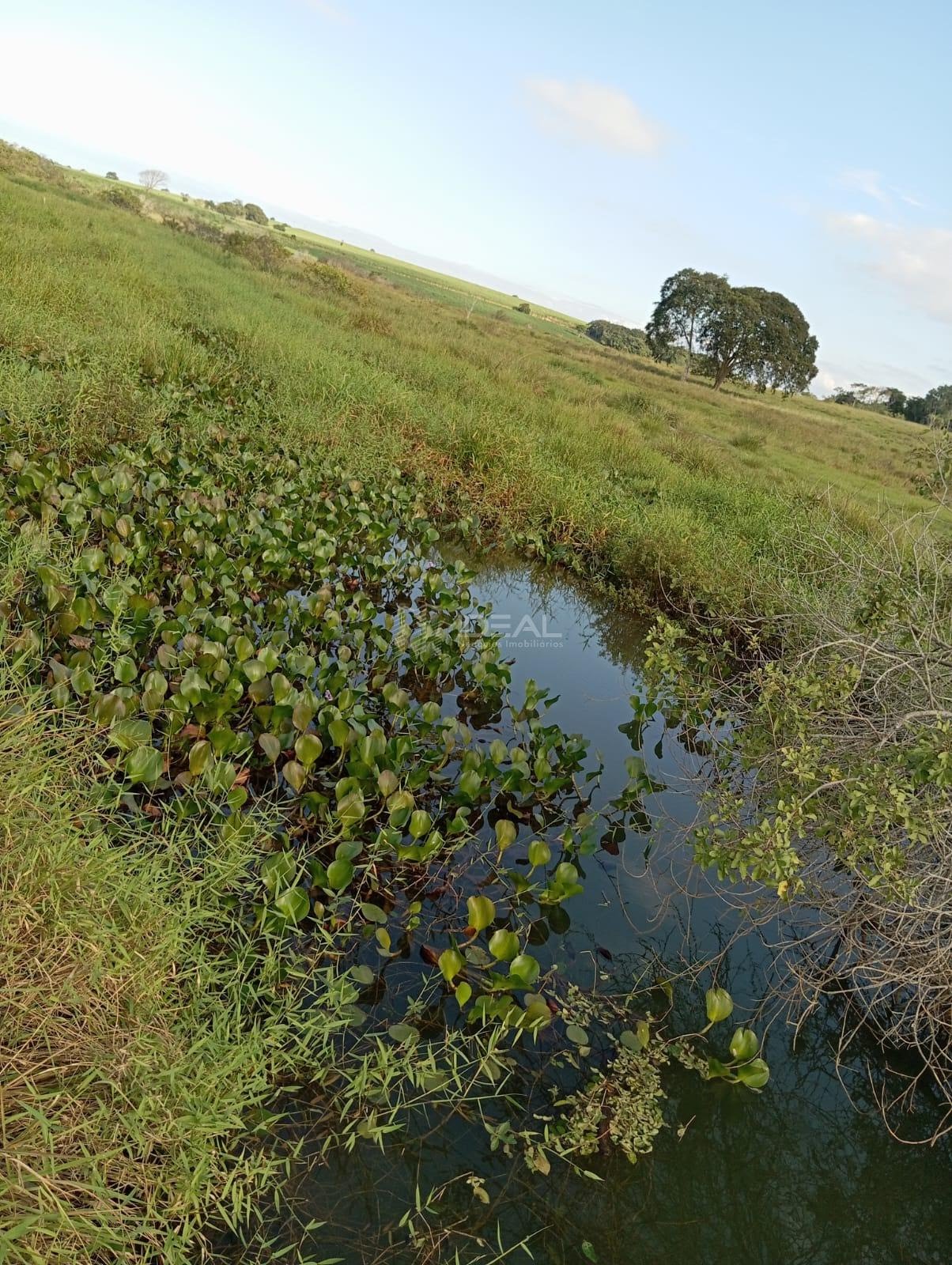 Rural à venda com 1280000m² de terreno no Valão Seco, São Francisco de Itabapoana (RJ) — foto 11 de 30