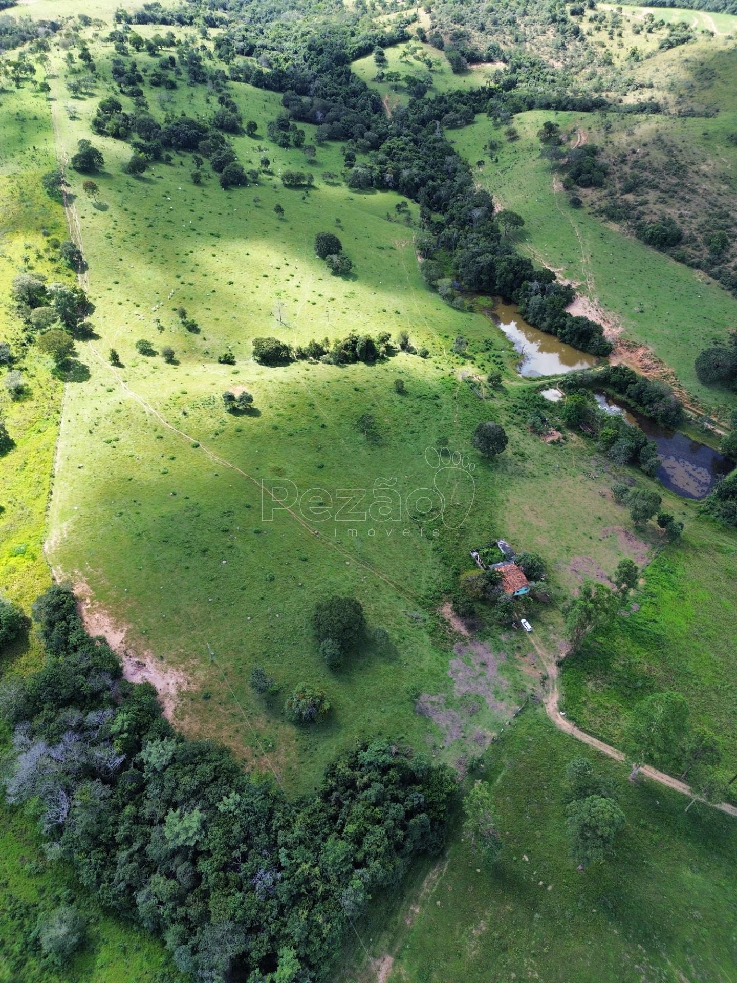 Rural à venda no Fazenda, Itapuranga (GO) — foto 6 de 11