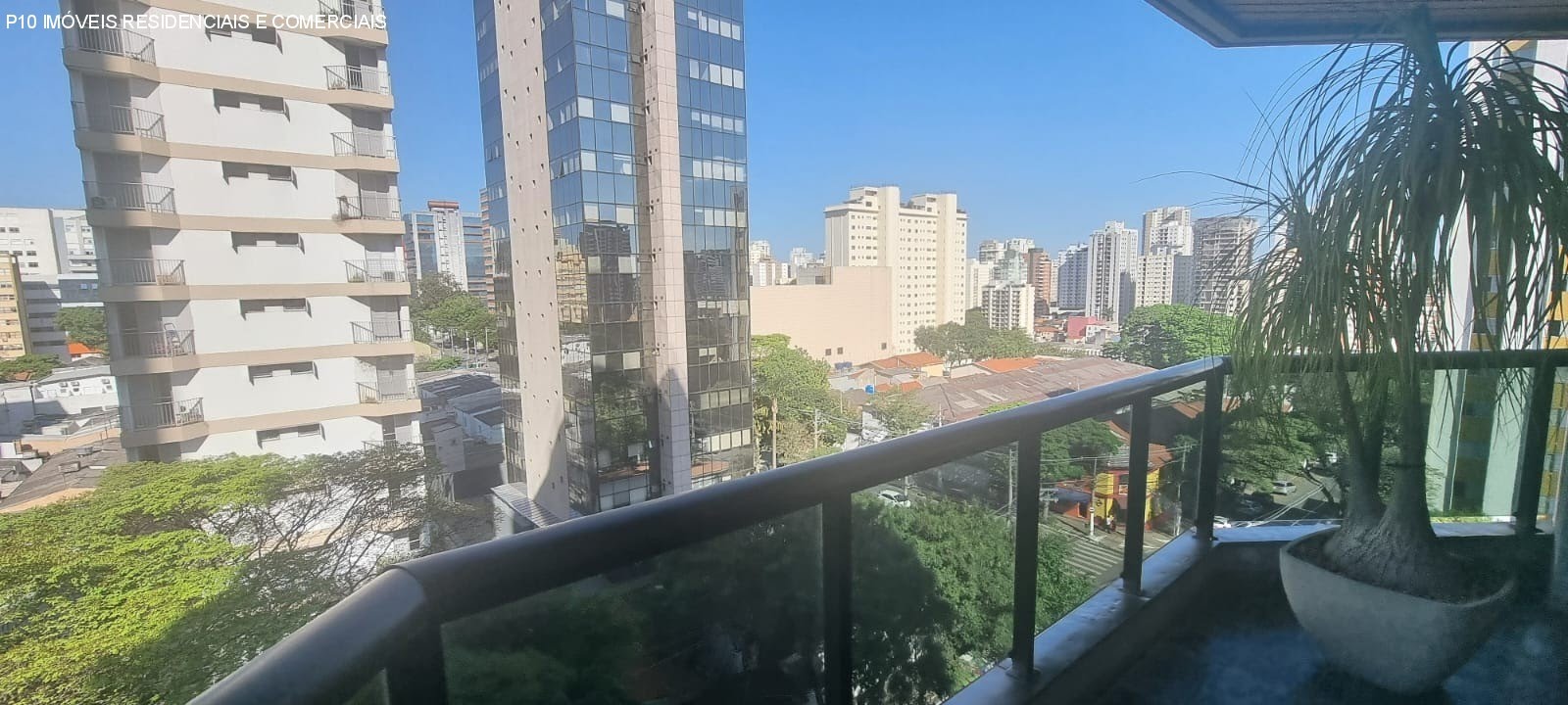Foto 01