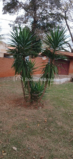 Chácara, 4 quartos, 600 m² - Foto 19