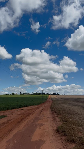 Fazenda em Zona Rural  -  Campo Grande