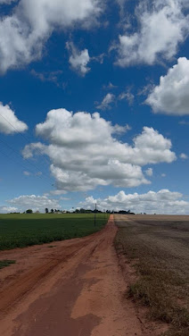 Fazenda em Zona Rural  -  Campo Grande