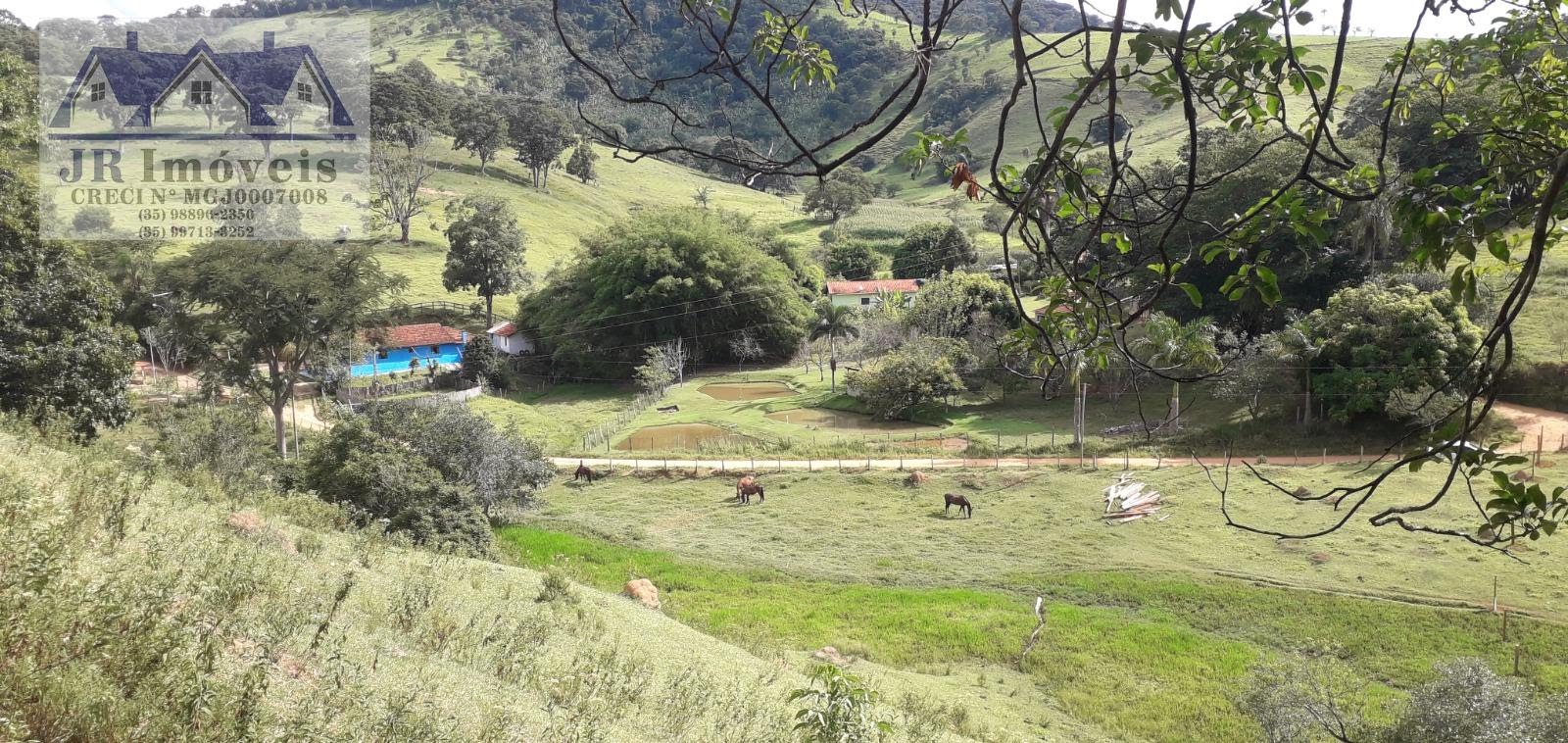 Terreno à venda com 10875m² de terreno no Teodoros, Brazópolis (MG) — foto 10 de 12