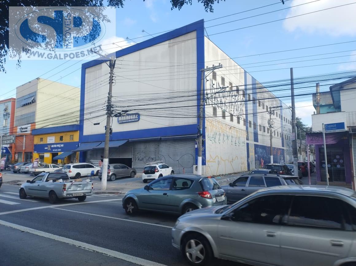 Prédio Inteiro, 3000 m² - Foto 12