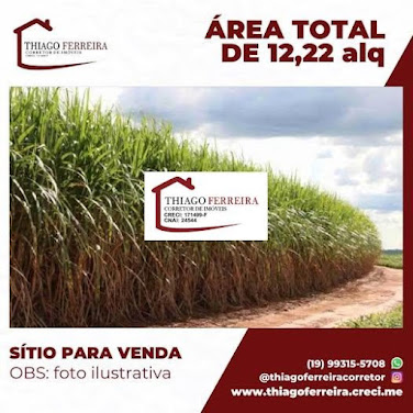 Sítio em Área Rural  -  Santa Rita do Passa Quatro