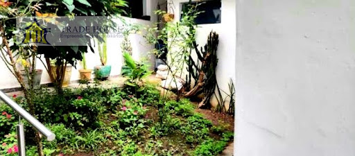 Casa em Vila da Saúde  -  São Paulo