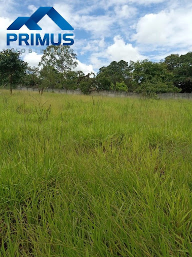 Lote em Jardim de Alah  -  Mateus Leme